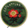 -fleur-eglantine-98-102.jpg (78958 octets)