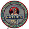 -gaulois14-1.jpg (71379 octets)